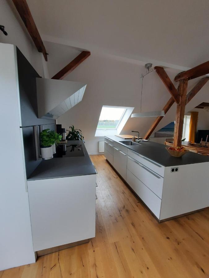 Luxurioeses Loft Mit Schoenem Blick Tremsbüttel Exteriör bild